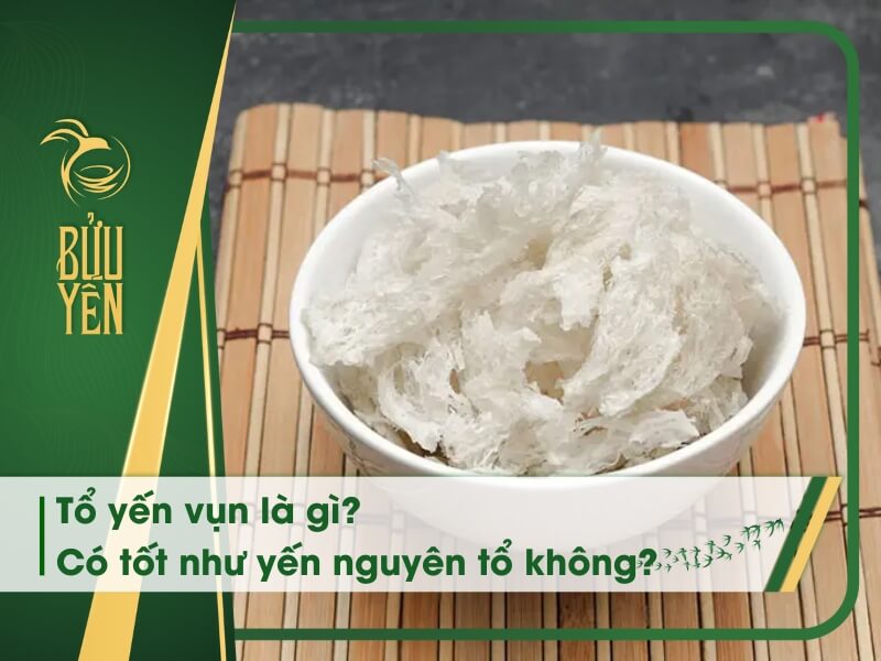 Tổ yến vụn có tốt không? Ưu điểm và nhược điểm