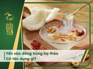 Yến sào đông trùng hạ thảo có tác dụng gì? Top sản phẩm tốt nhất