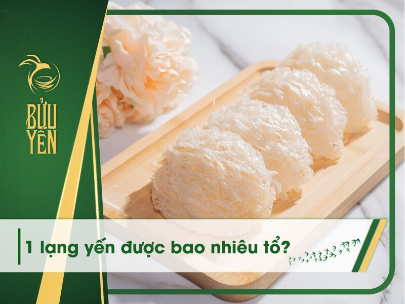1 lạng yến được bao nhiêu tổ