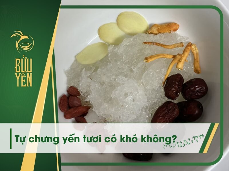 3 Cách chưng yến tươi ngon, giữ trọn vẹn chất dinh dưỡng