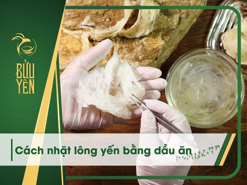 Cách nhặt lông yến bằng dầu ăn đơn giản, tiết kiệm thời gian