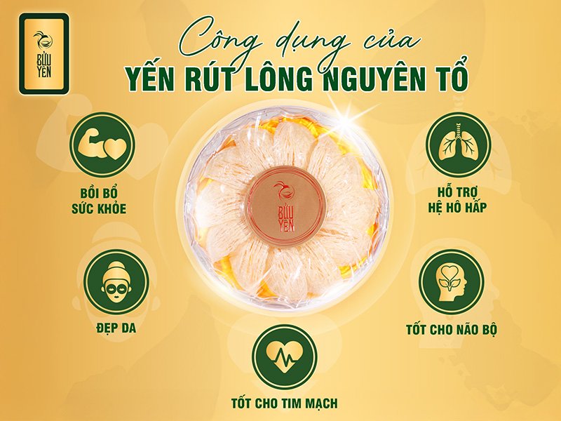 công dụng của yến rút lông nguyên tổ