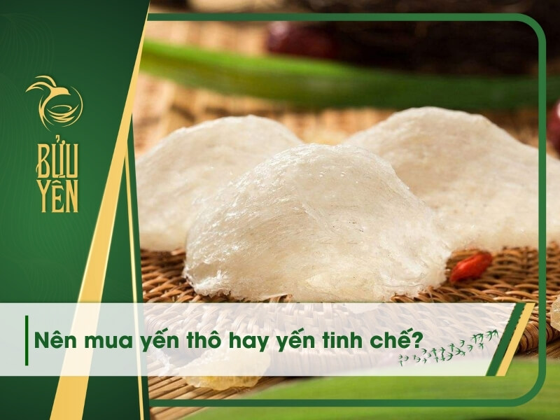 Chia sẻ kinh nghiệm nên mua yến thô hay yến tinh chế?