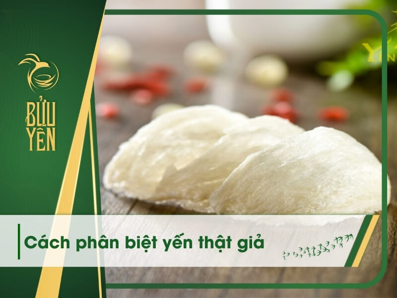 15 Cách phân biệt yến thật giả chính xác và hiệu quả