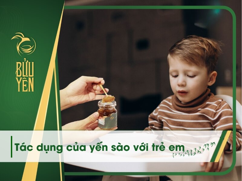 7 Tác dụng của yến sào với trẻ em và lưu ý khi dùng
