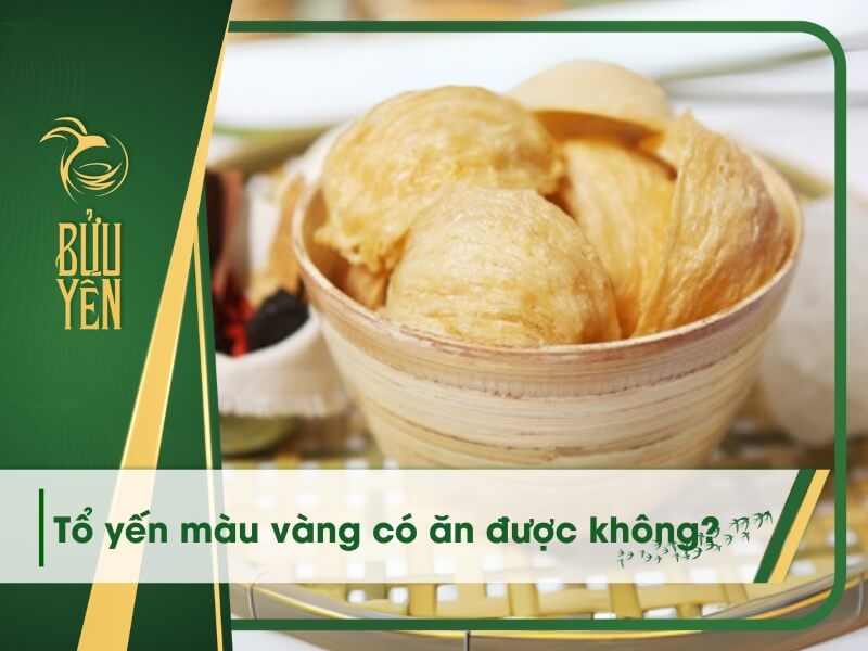 Tổ yến màu vàng: Nguyên nhân và cách xử lý 