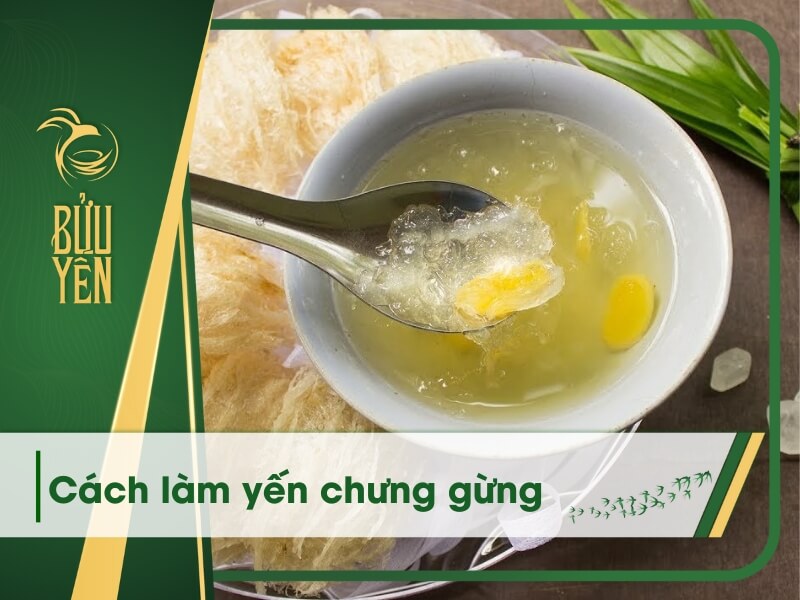 Hướng dẫn cách làm yến chưng gừng thơm ngon, bổ dưỡng