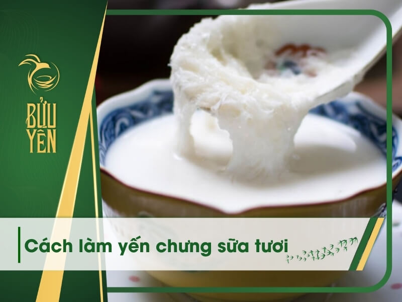 yến chưng sữa tươi