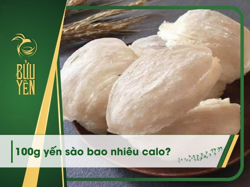 100g yến sào bao nhiêu calo? Cách ăn tổ yến để tăng cân