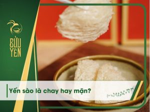 Yến sào là chay hay mặn? Ăn chay có ăn yến được không?