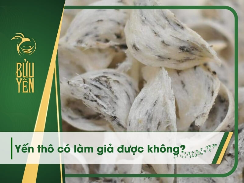 Yến thô có giả không? 5 Cách nhận biết yến thô giả