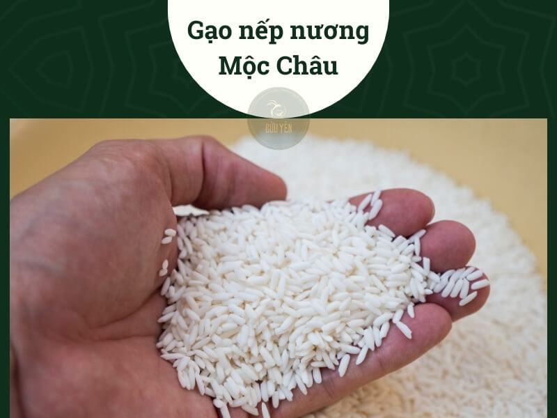 Gạo nếp nương Mộc Châu