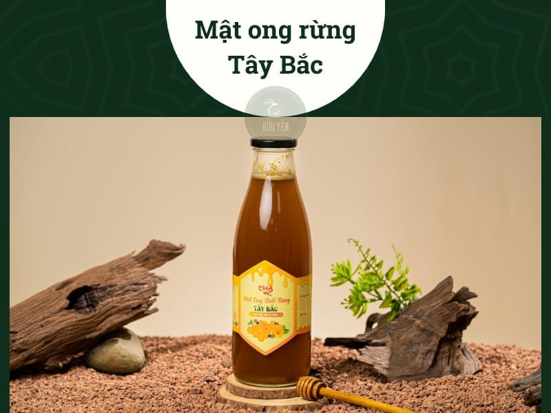 Mật ong rừng Tây Bắc