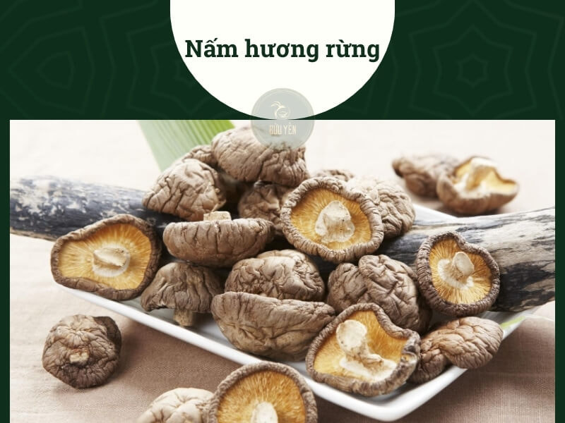 Nấm hương rừng Tây Bắc