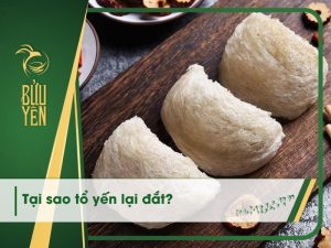 Tại sao tổ yến lại đắt? 7 lý do khiến yến sào có giá cao