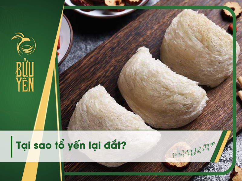 Tại sao tổ yến lại đắt? 7 lý do khiến yến sào có giá cao